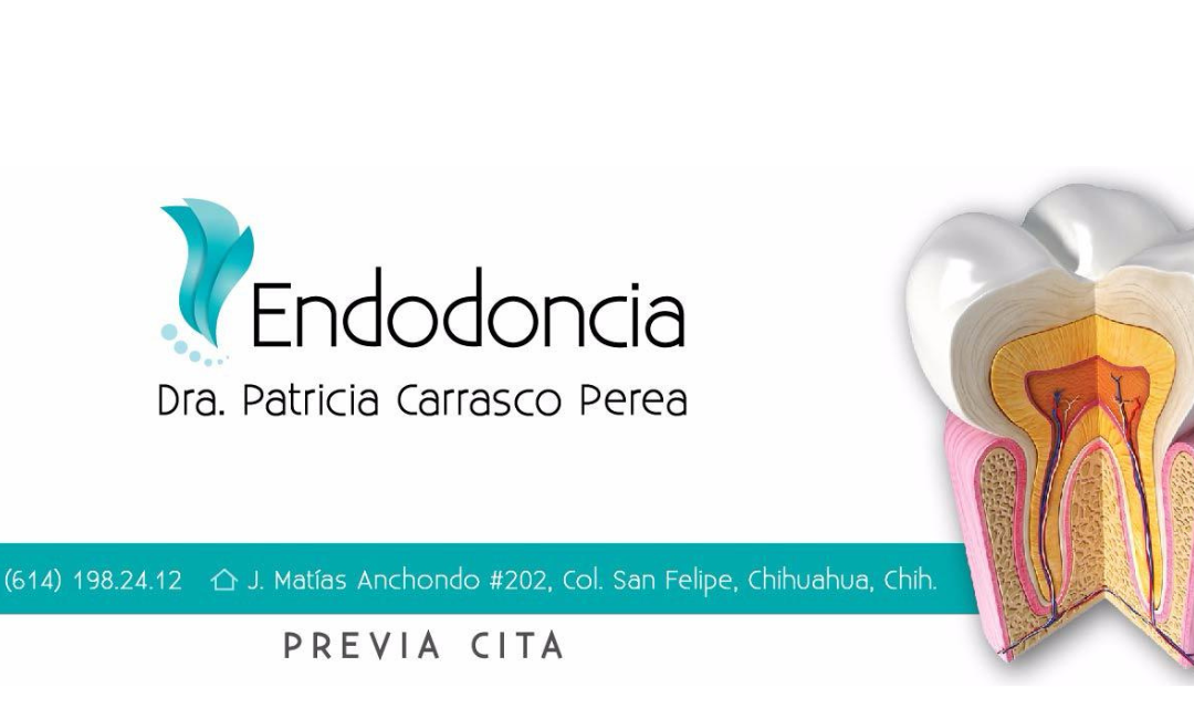 Endodoncia